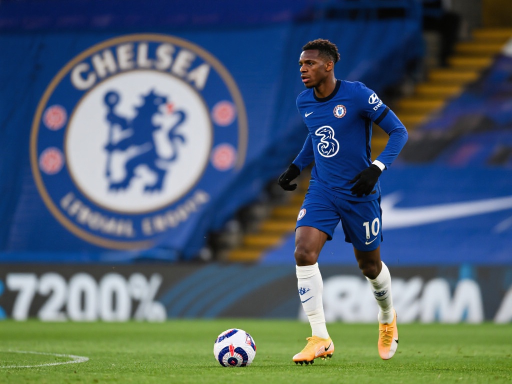 成功引援：切尔西曾创转会记录的经典案例